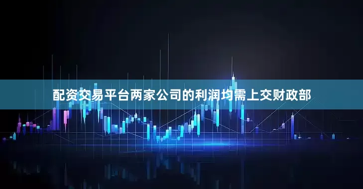 配资交易平台两家公司的利润均需上交财政部