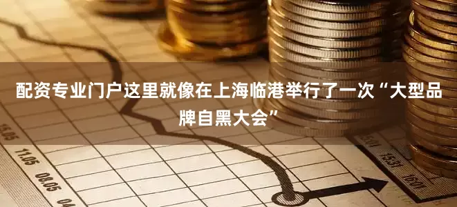 配资专业门户这里就像在上海临港举行了一次“大型品牌自黑大会”